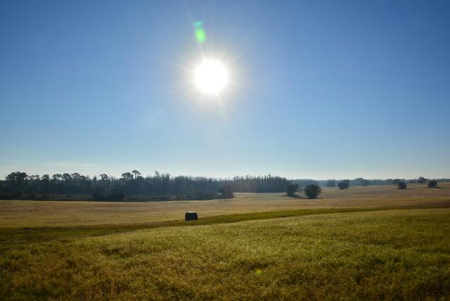 20 Acres  Groveland - Tifton Hay Fields