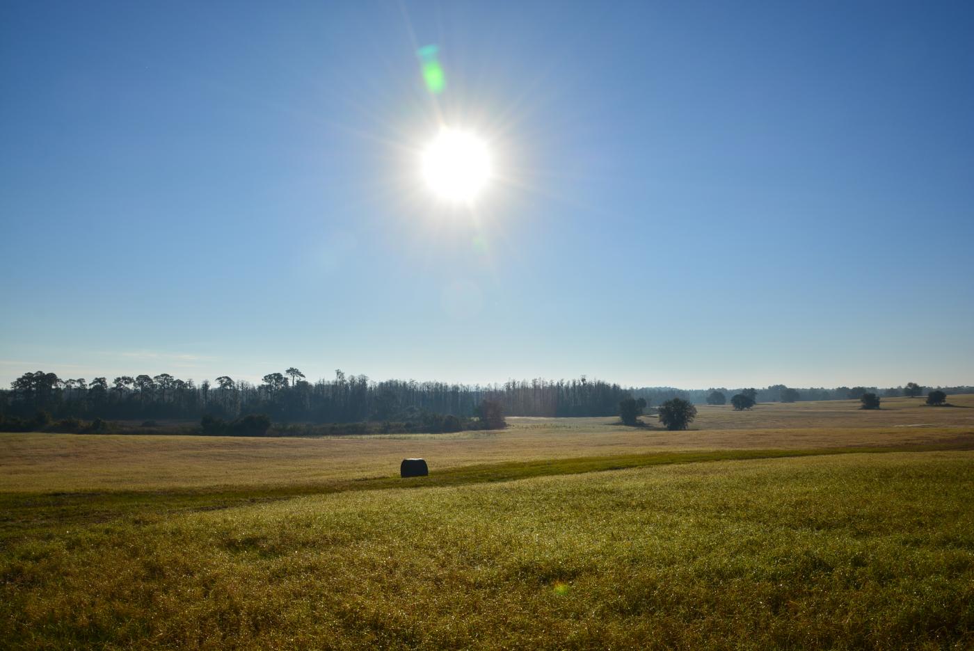 20 Acres  Groveland - Tifton Hay Fields