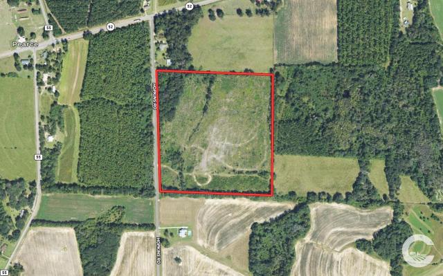 37 +/- Acres AG Land / Homesite in Webb, AL