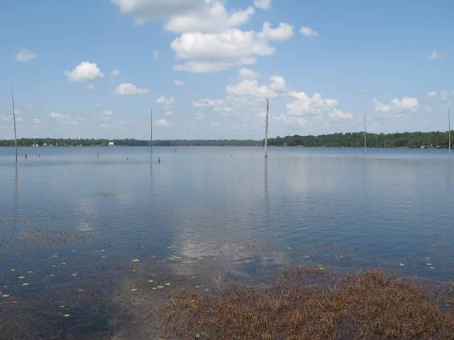 Lakefront Acreage-59 acres