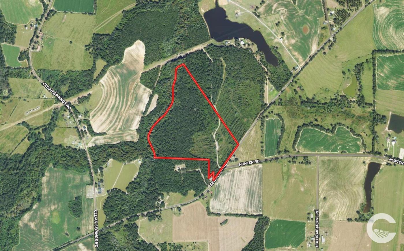 61 +/- Acres AG Land / Homesite in Columbia,