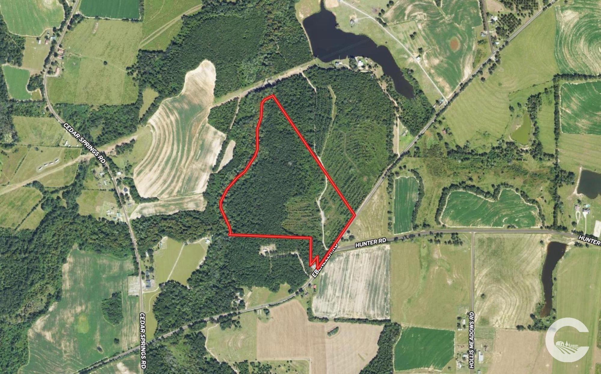 61 +/- Acres AG Land / Homesite in Columbia,