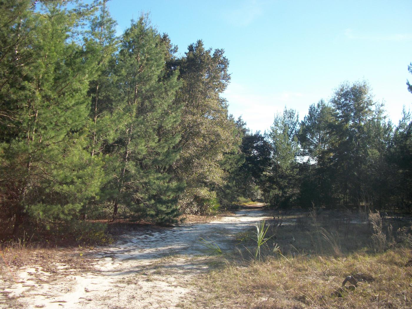 190+/- Acres - Vacant Land