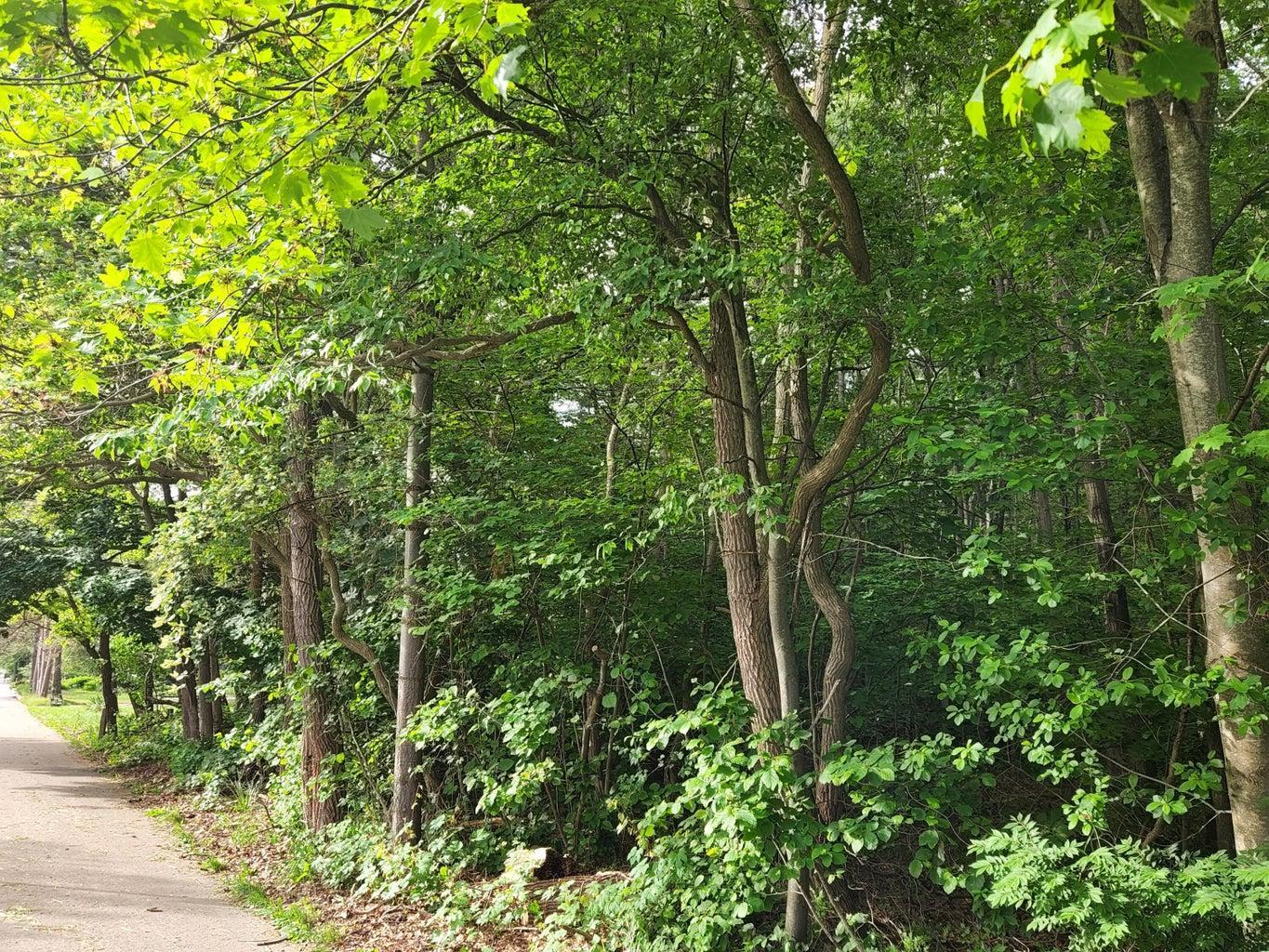 Vacant Land in Grand Haven, MI