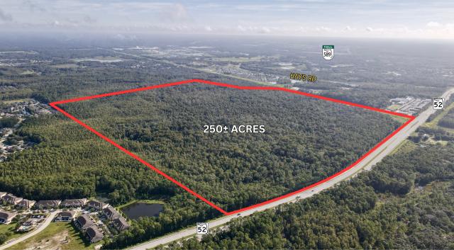 250 ac Commercial on SR 52 W of Suncoast Pkwy