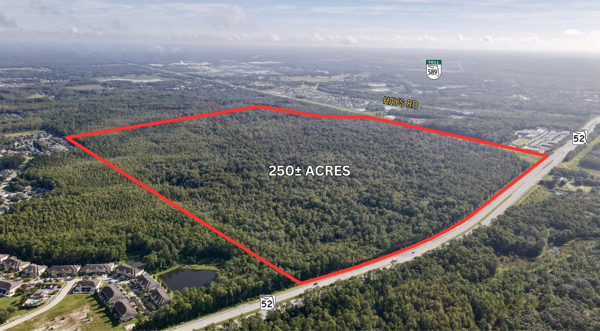 250 ac Commercial on SR 52 W of Suncoast Pkwy