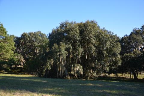 Hard Road Frontage! 10.48 Acres