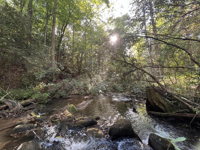 0 Zion Hill Road Ellijay, GA 30540