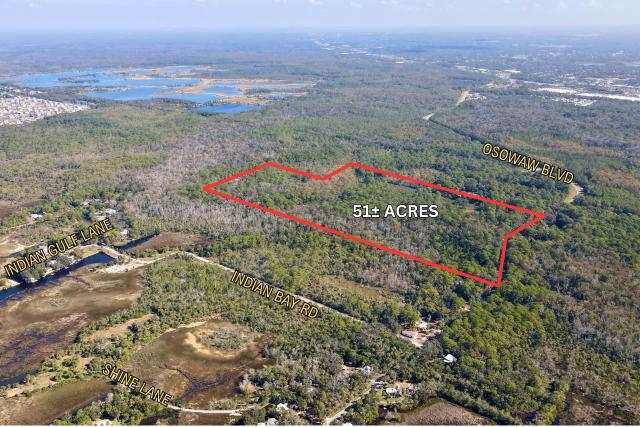 51 Acres of Wooded Land in Aripeka (Hernando)