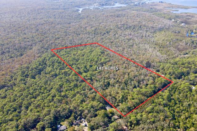 14-Acre Wooded Agricultural Land in Aripeka