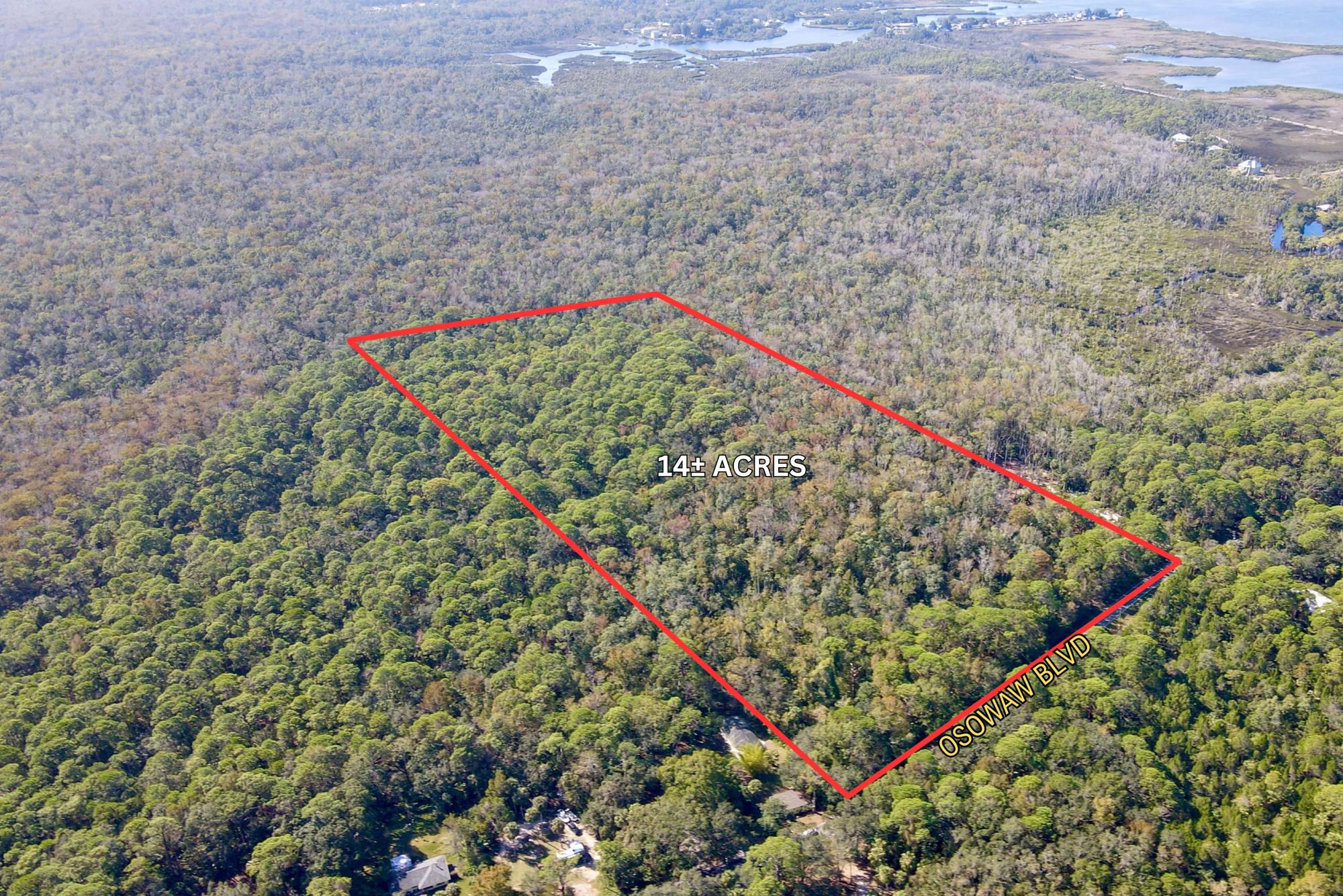 14-Acre Wooded Agricultural Land in Aripeka
