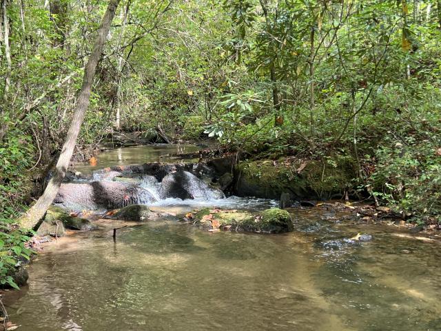 Borders National Forest, Creek
