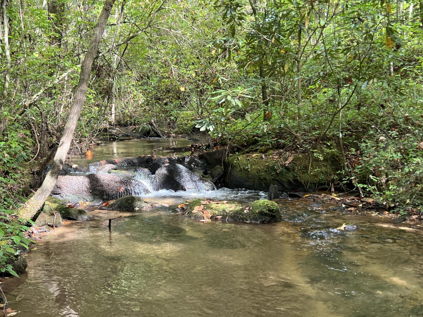 Borders National Forest, Creek