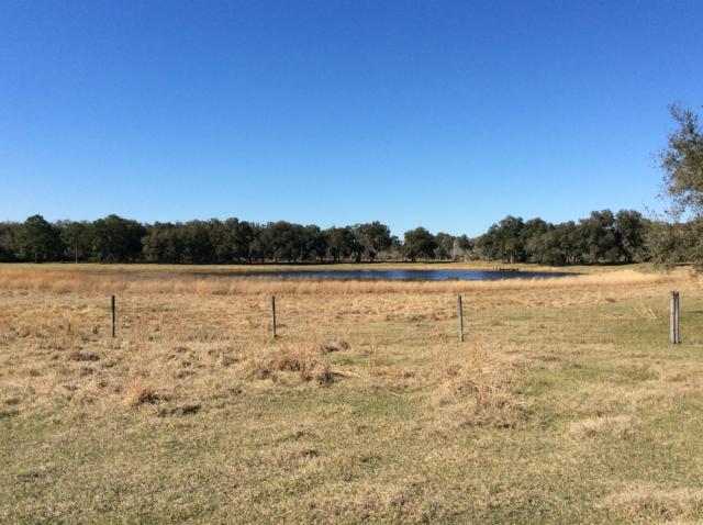 240± Ac Rec./Hunting Preserve/Pasture