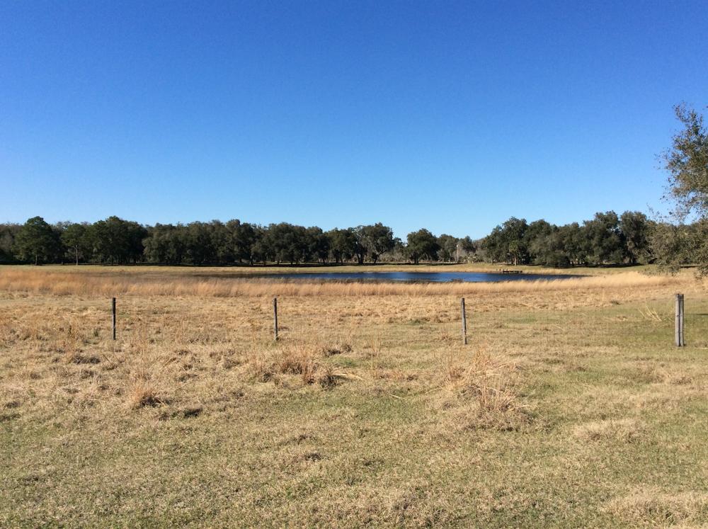 240± Ac Rec./Hunting Preserve/Pasture