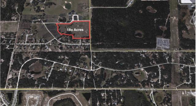 18.6+- acres Hays Road in Hudson