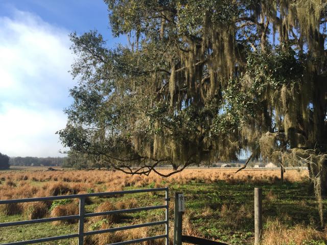 St. Joe Road 30.07 Acres