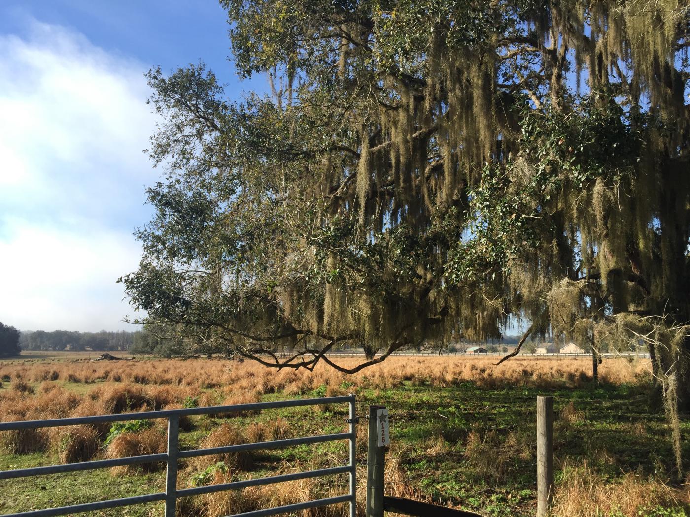 St. Joe Road 30.07 Acres