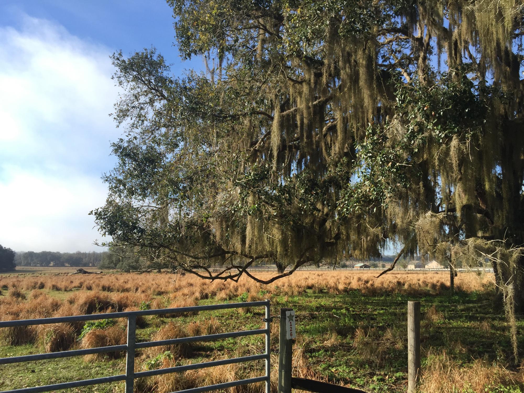 St. Joe Road 30.07 Acres