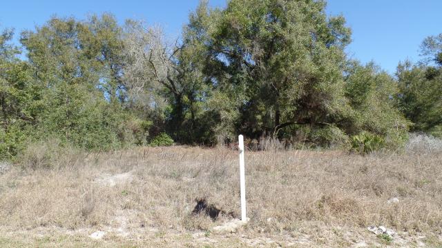 Zoned industrial I-1 in Orange City FL 1/4 ac