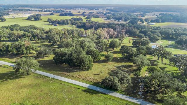 Tract 3: Dream Home 6.31 AC Wildwood FL