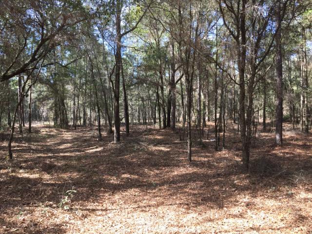 Residential/Undeveloped Land
