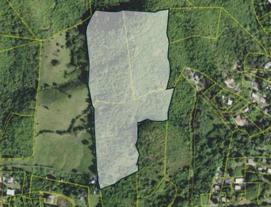Patillas 22.34 Acre Vacant Land - For Sale
