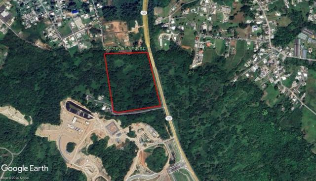 Morovis Land 22 Acres