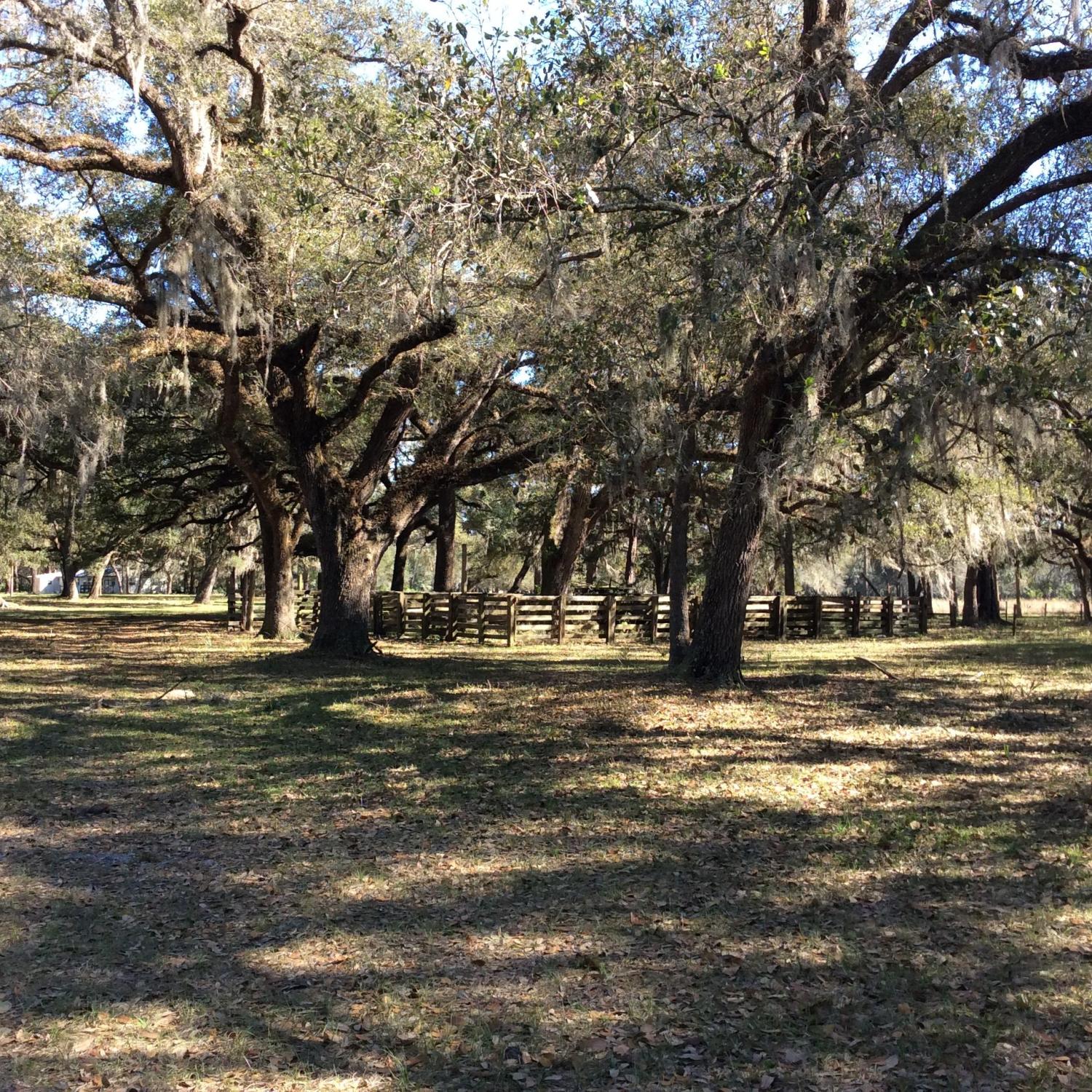 240 Acre Hunters/Lovers Paradise