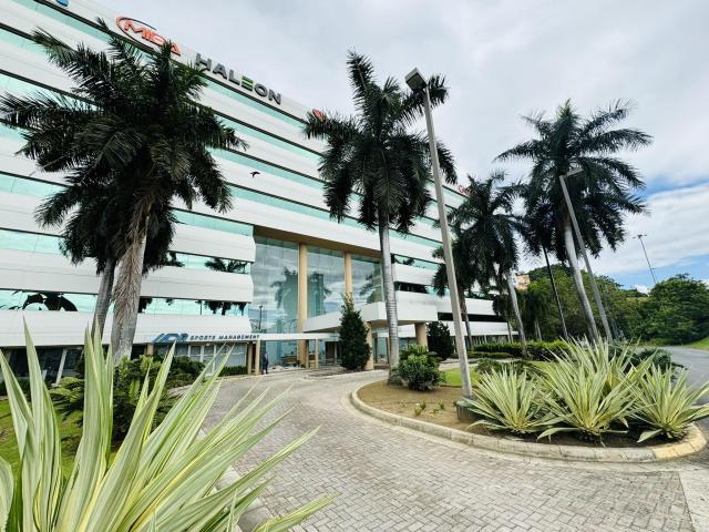 Exclusive Penthouse Office for Rent, Guaynabo