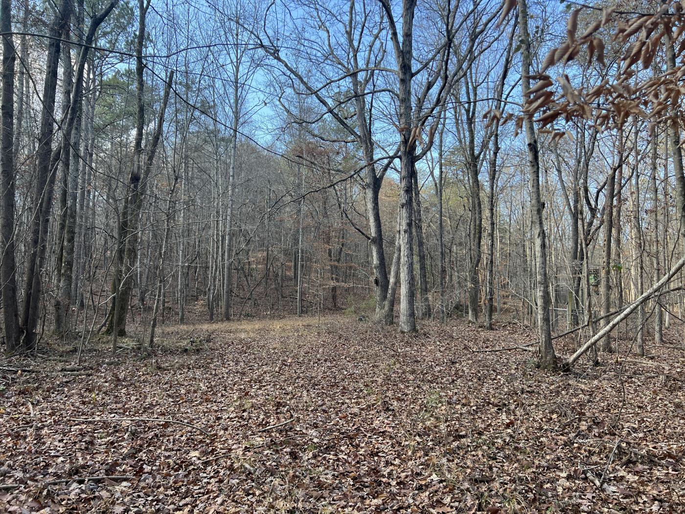 101.695 +/- Wooded Acres Gordon County, GA