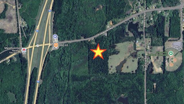 20 Acres - Commercial Land - Greenville, AL