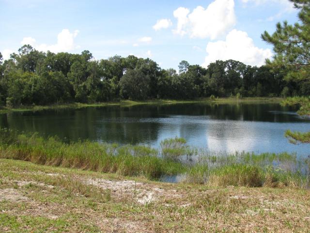 0.37± Acres on Malauka Loop, Ocklawaha