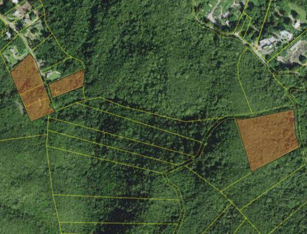 Ponce Vacant Land Parcels at Canas Ward