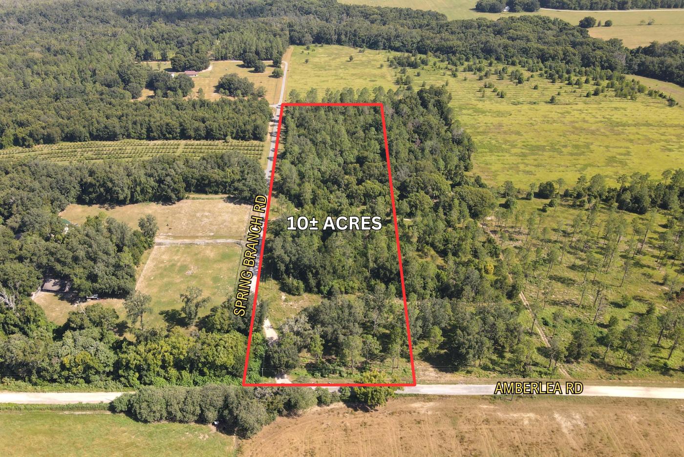 10 Acre Gently Rolling Lot in North Dade City