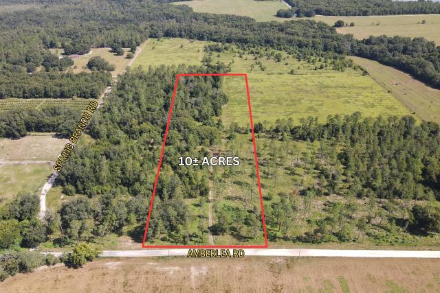 10 Acre Gently Rolling Lot in Rural Dade City