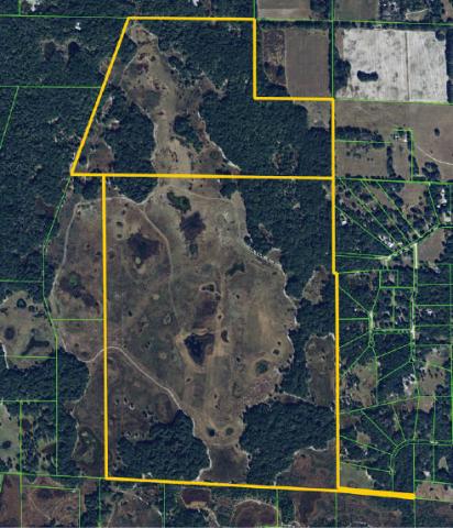 Stafford's Prairie Ranch 671 acres Levy Cnty