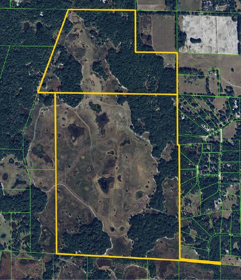 Stafford's Prairie Ranch 671 acres Levy Cnty