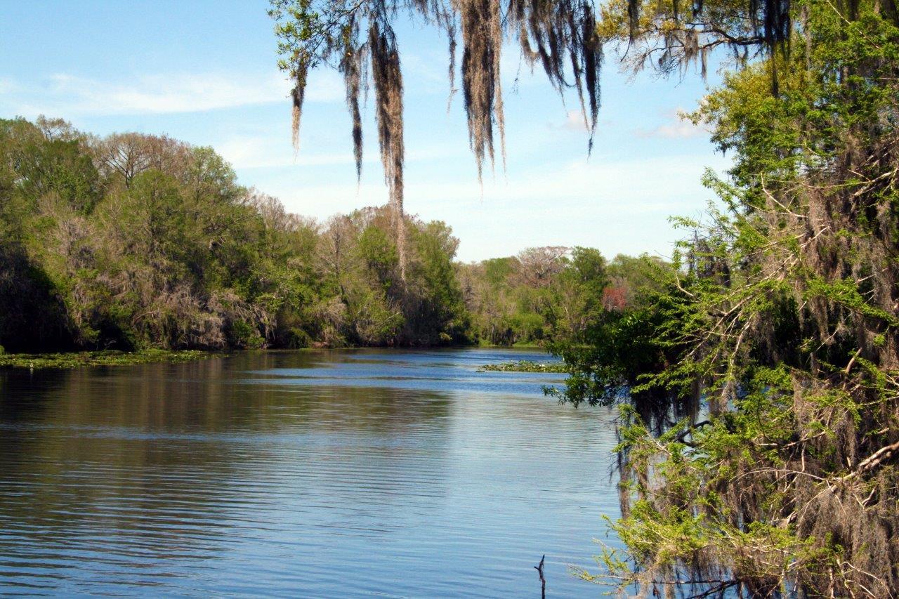 Withlacoochee Development