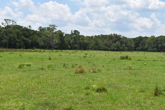 Lake County Ranch Land 153
