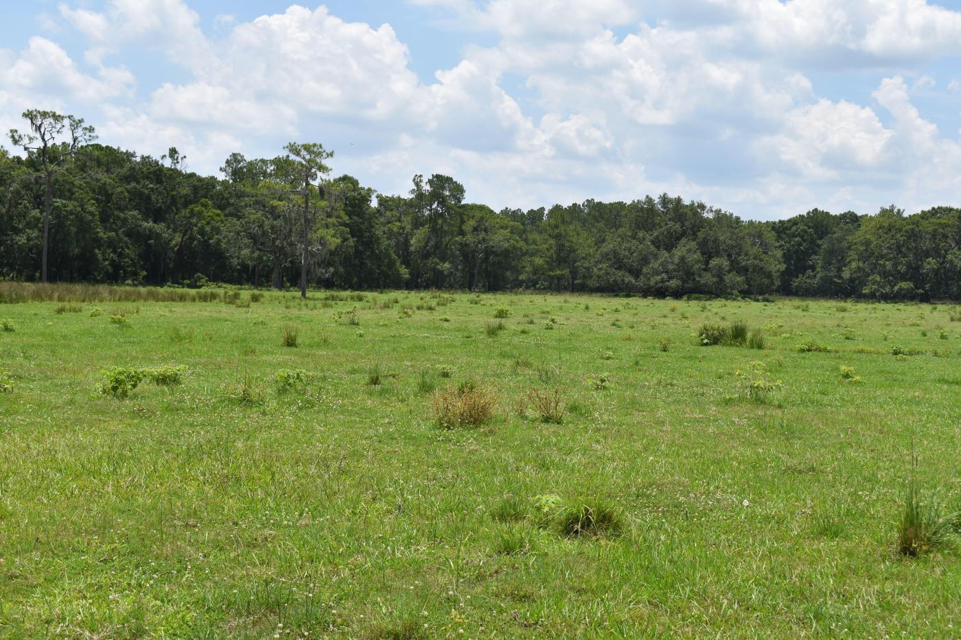 Lake County Ranch Land 153