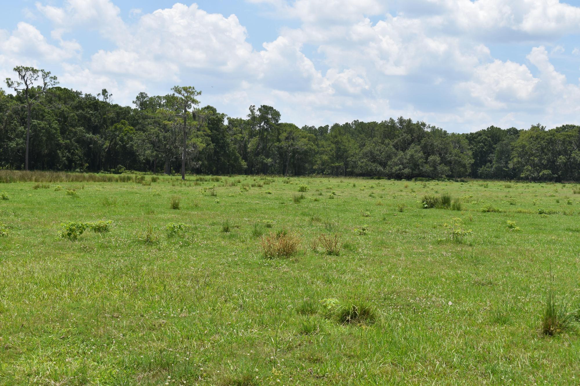 Lake County Ranch Land 153