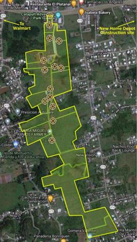 Prime 118-Acre 100% Flat Land on PR-2 Isabela