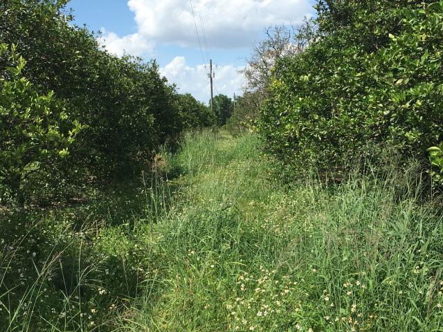 18± Ac Residential Opportunity