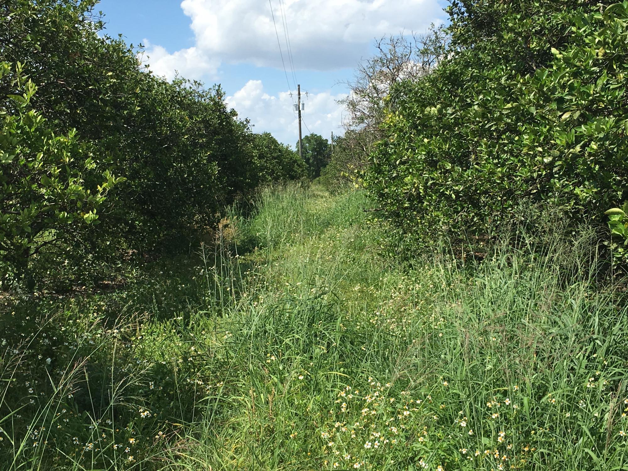 18± Ac Residential Opportunity