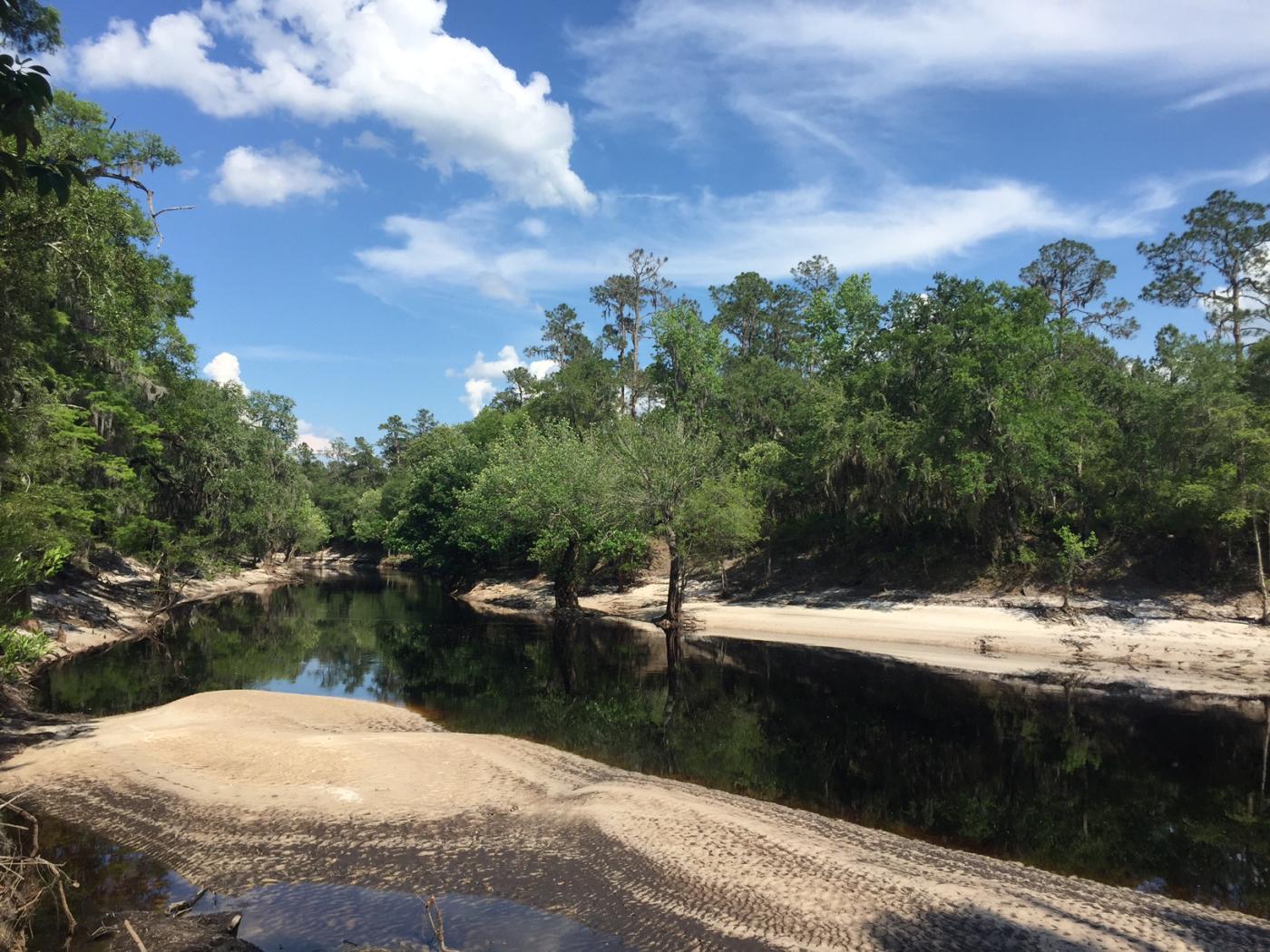 241ac Suwannee River Hamilton County