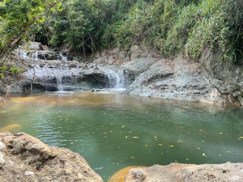 Eden 5D Sanctuary 171-Acre Endless Potential