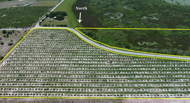 Country Living - Future Homesite on 20± Acres