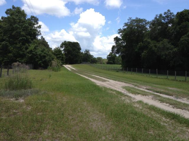 10± Acres to Build Your Dream Home