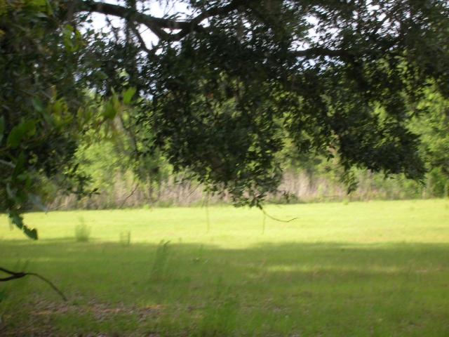 10 Acres A-1 General Agriculture Summerfield